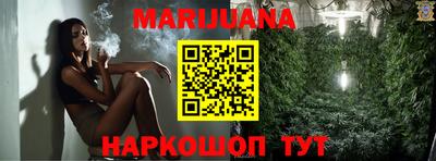 шишки Жуковский