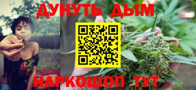 шишки Жуковский