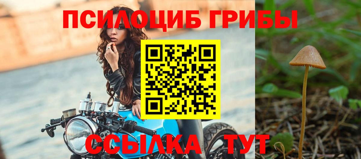 Галлюциногенные грибы ЛСД  где купить наркотик  Медногорск  Псилоцибиновые грибы мицелий  Вход с VPN 